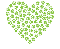 Dog pampering packages